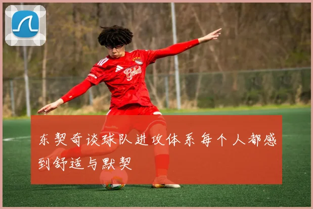 东契奇谈球队进攻体系每个人都感到舒适与默契