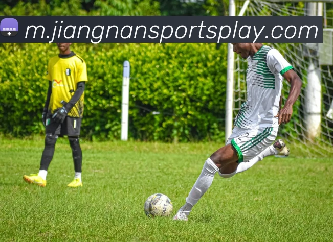 App Interface Preview