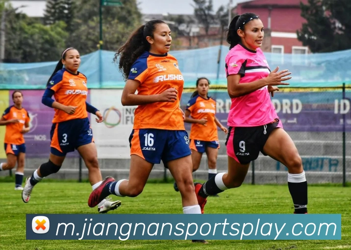 江南体育APP 封面图